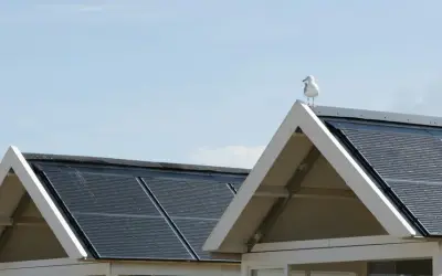 Solar panels on roof of homes