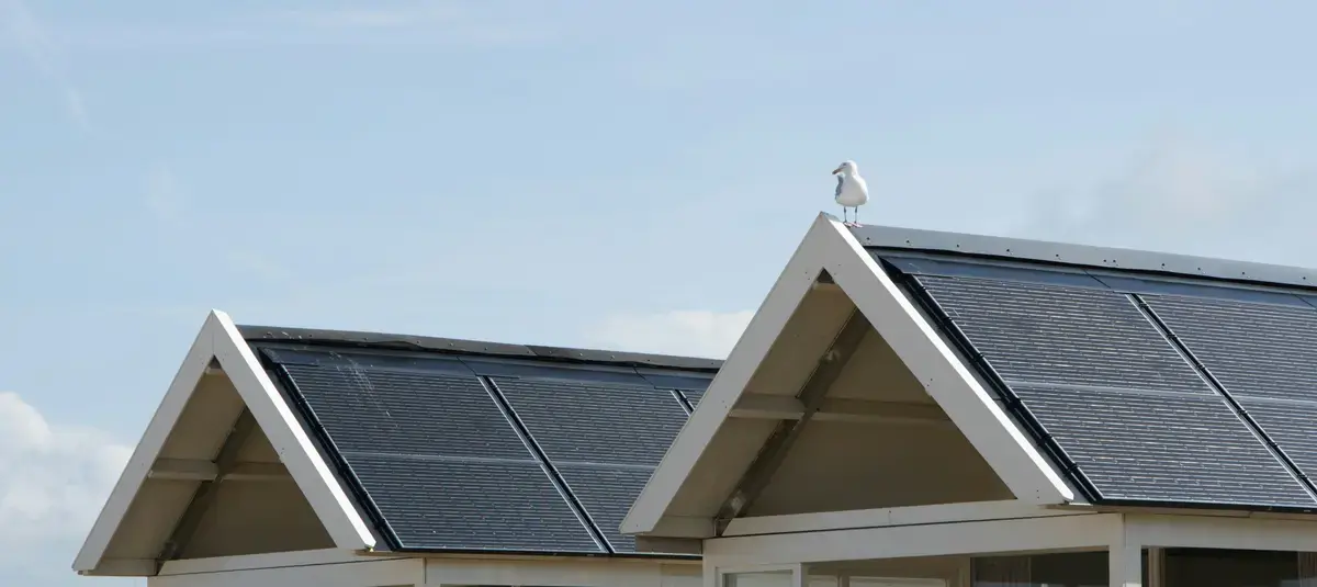 Solar panels on roof of homes