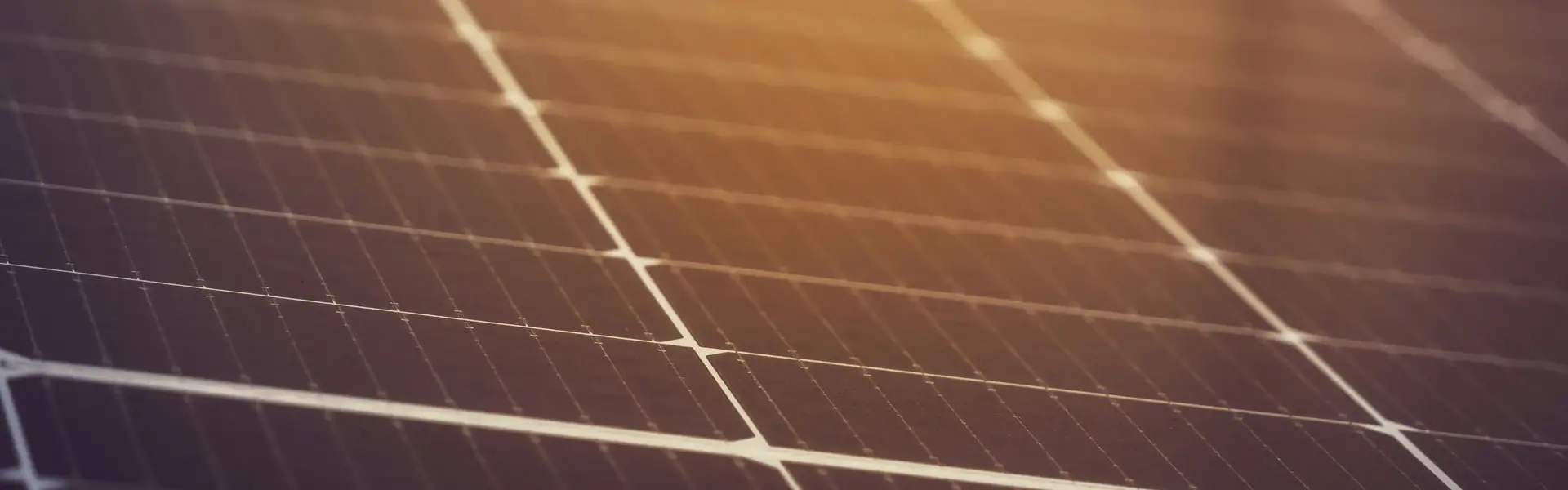Photo of sun reflecting off of a solar panel