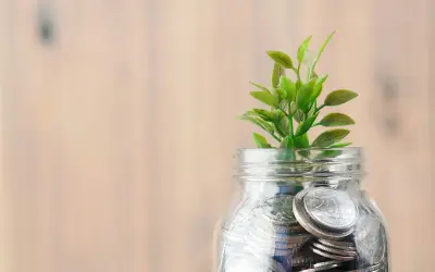 What are Solar Renewable Energy Credits?