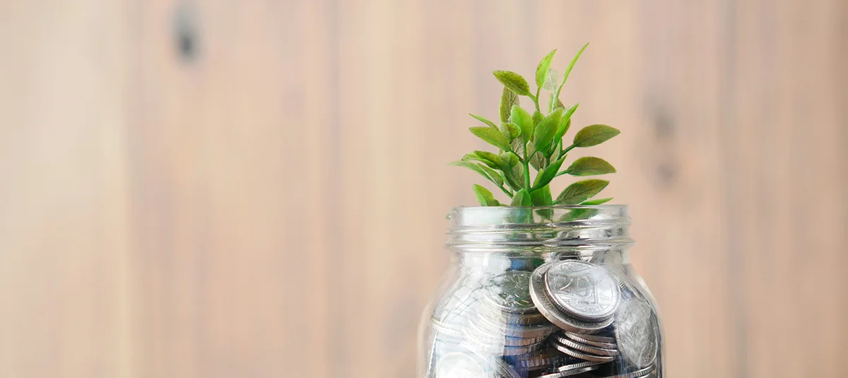 What are Solar Renewable Energy Credits?