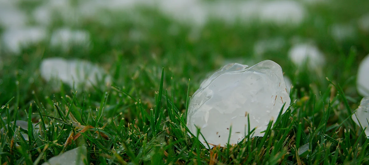 Hail vs. Solar Panels: Who Wins?
