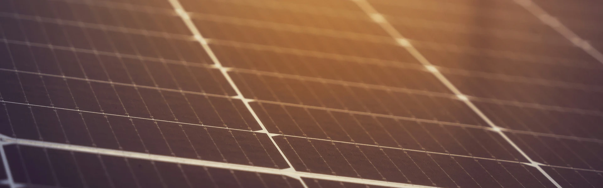 Photo of sun reflecting off of a solar panel