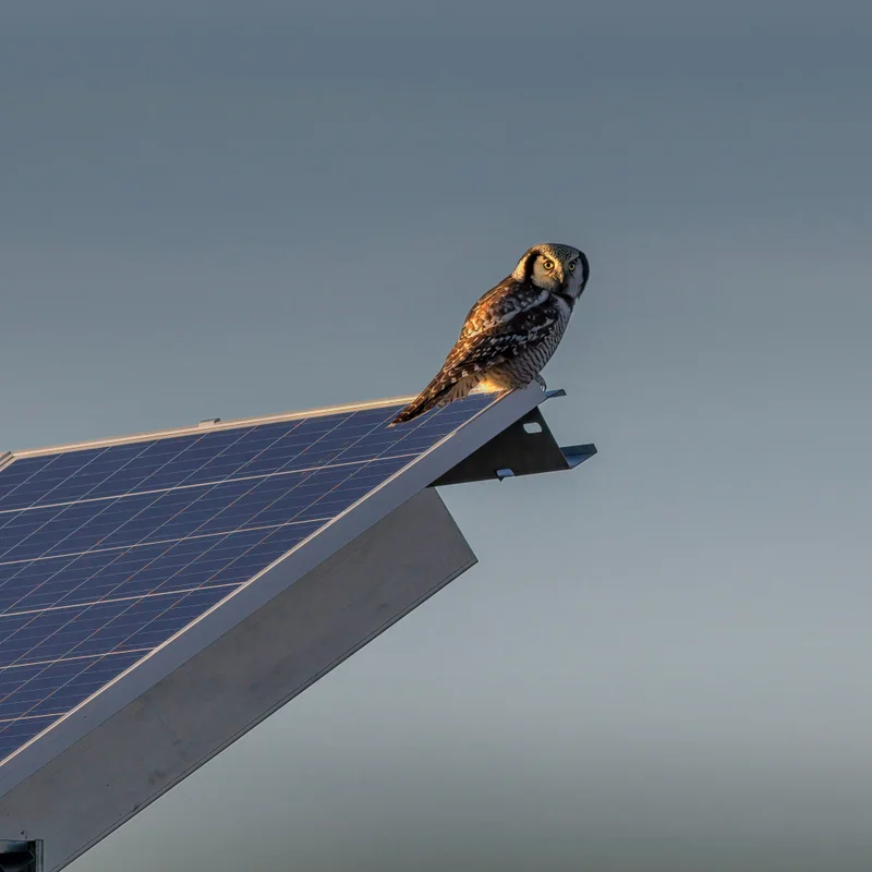 solar panel ownership transfer options