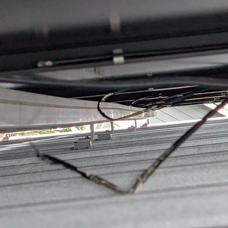 squirrel damage under solar panels